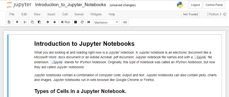 Jupyter notebook after custom link